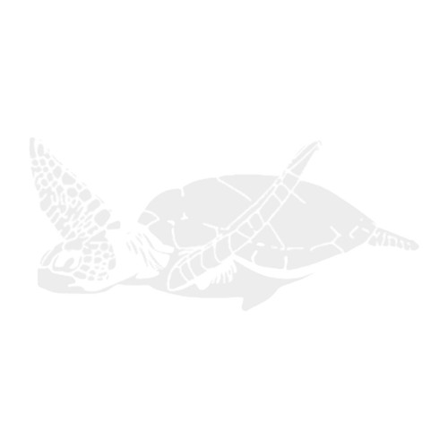Adesivi per auto con - , animali